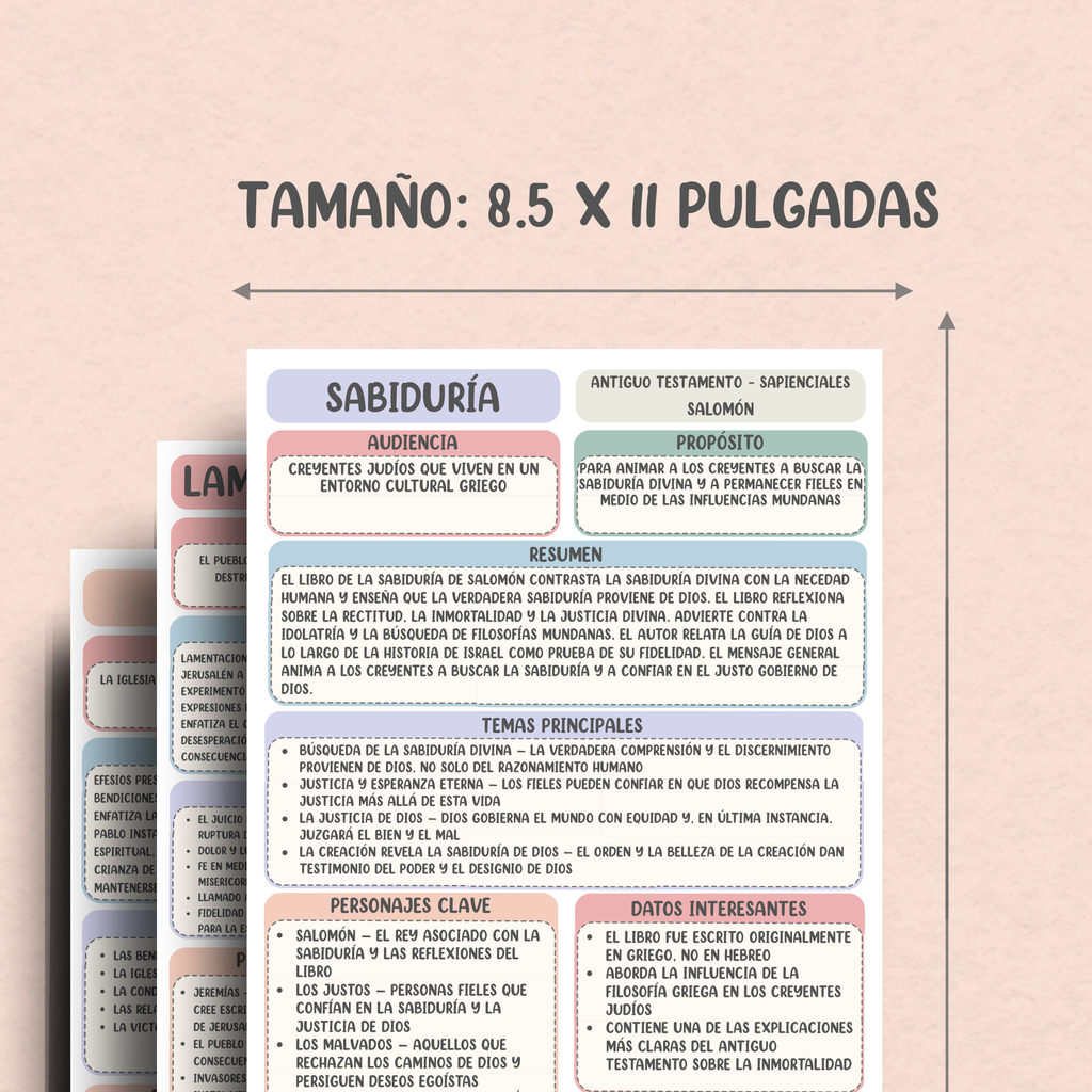 Guías de Estudio Bíblico de los 73 Libros de la Biblia Católica: Resúmenes Claros y Organizados para una Comprensión Más Profunda