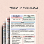 Guías de Estudio Bíblico de los 73 Libros de la Biblia Católica: Resúmenes Claros y Organizados para una Comprensión Más Profunda