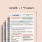 73 Libros de la Biblia Católica en Páginas Insertables de Vellum