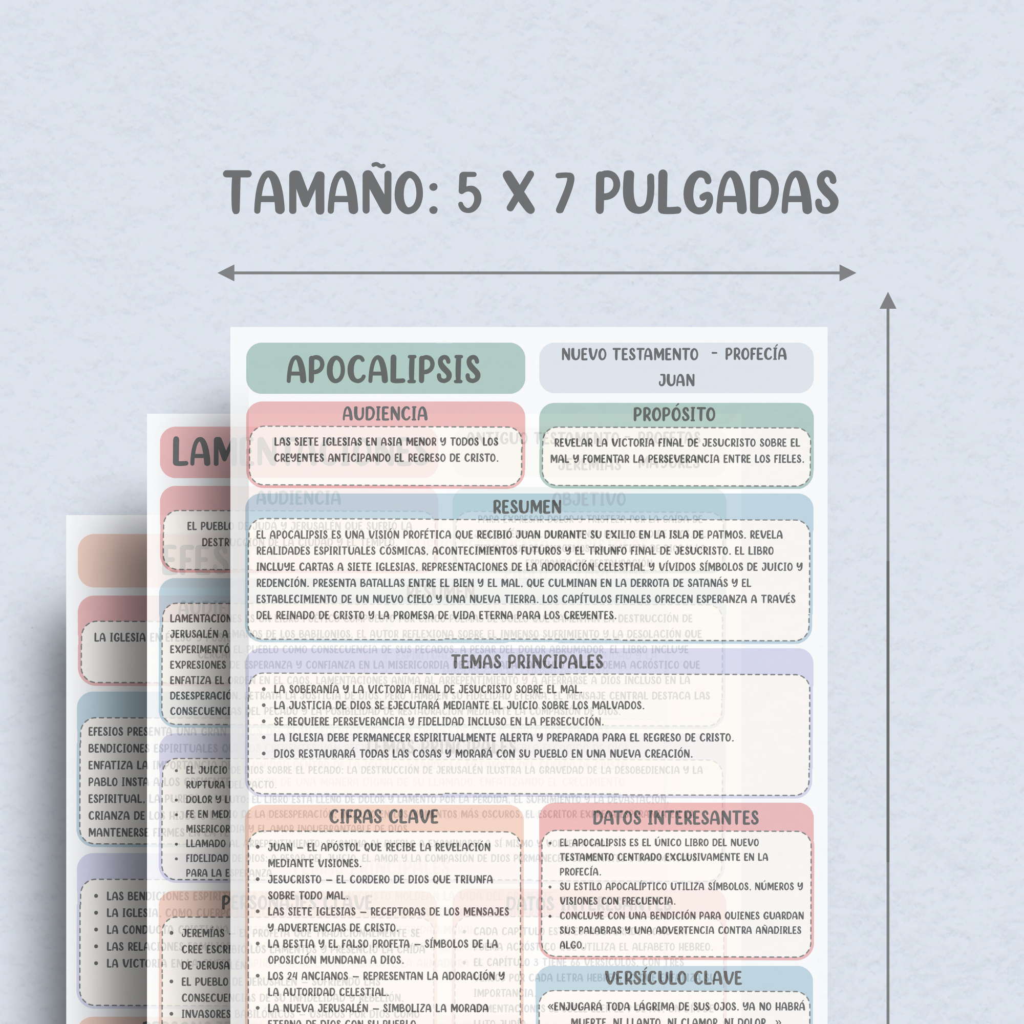 66 Libros de la Biblia en Páginas Insertables de Vellum