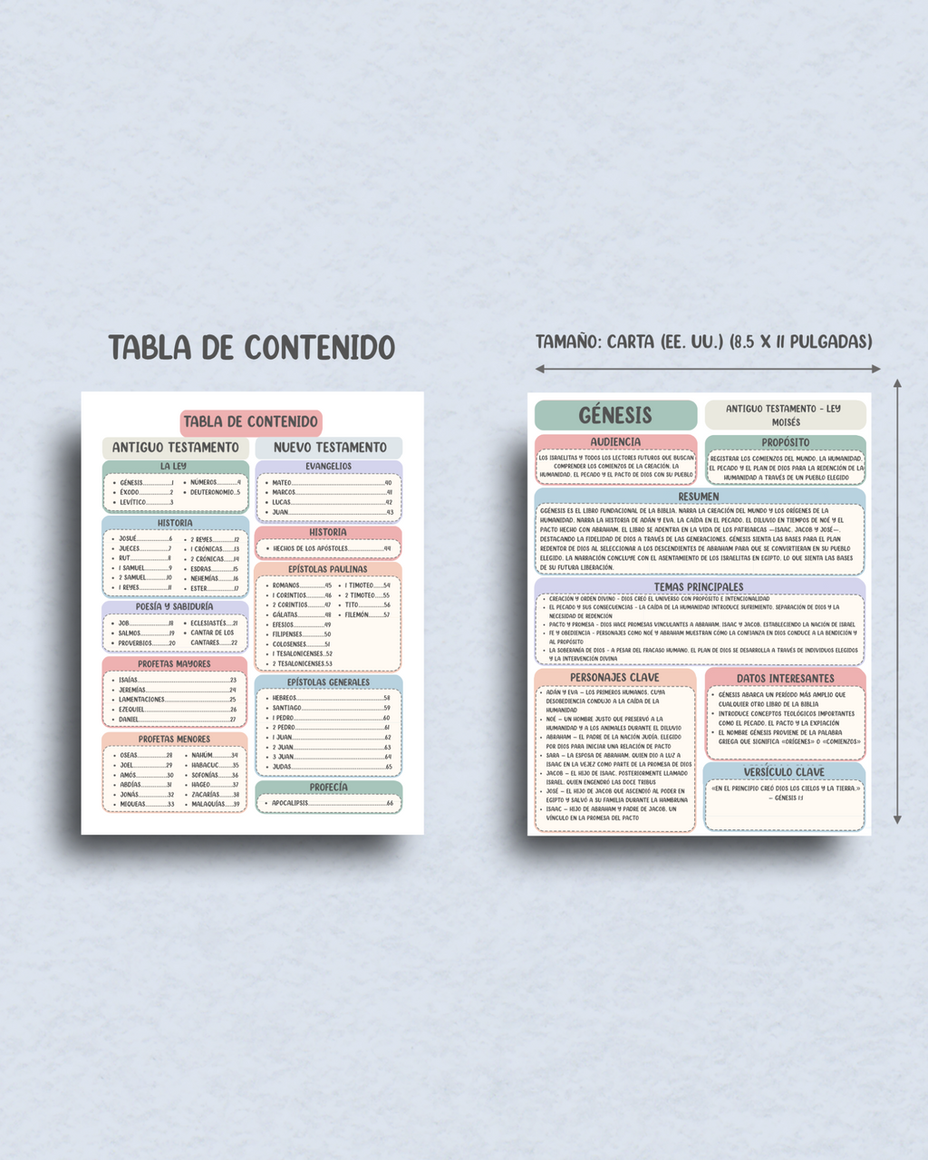 Vista interior de la Guía de Estudio Bíblico de los 66 Libros de la Biblia en español con tabla de contenidos organizada, ejemplos de páginas de estudio y tamaño carta EE. UU. de 8.5 x 11 pulgadas.