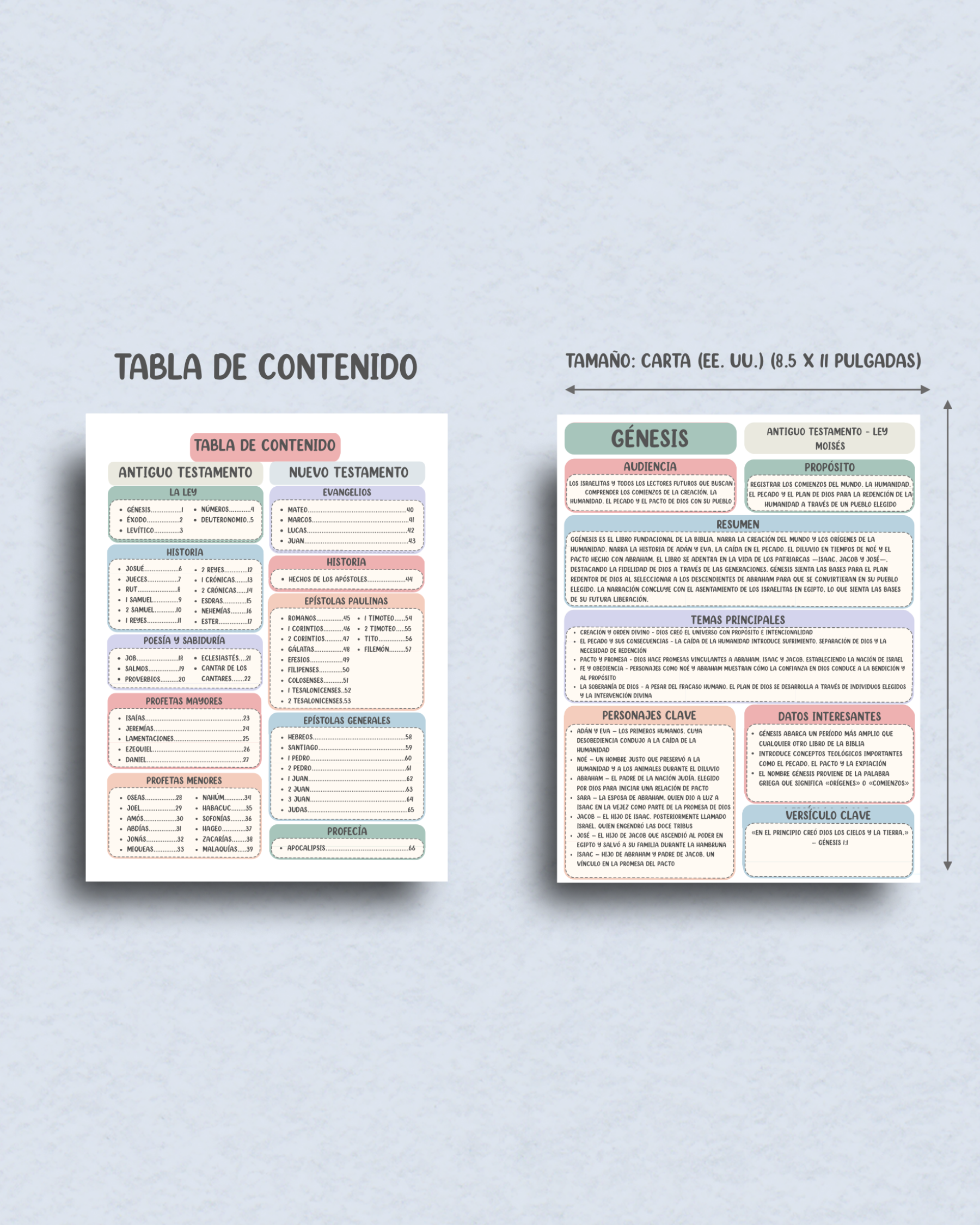 Vista interior de la Guía de Estudio Bíblico de los 66 Libros de la Biblia en español con tabla de contenidos organizada, ejemplos de páginas de estudio y tamaño carta EE. UU. de 8.5 x 11 pulgadas.